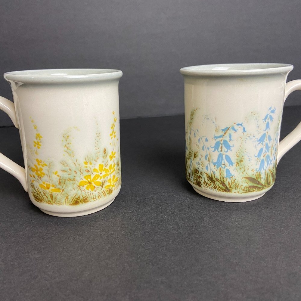 Vintage Biltons Set of two (2) Boho Botanical Mugs